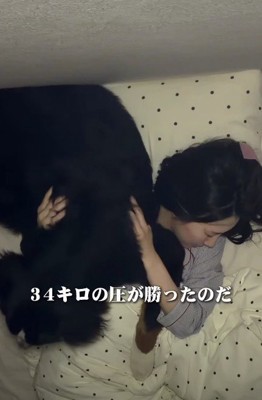 アロちゃんが目覚まし役に♪