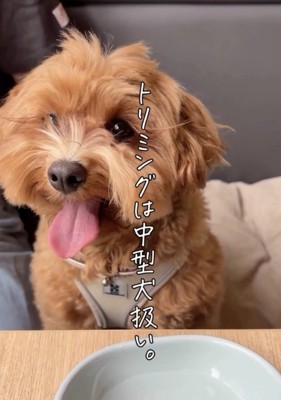 笑顔全開！