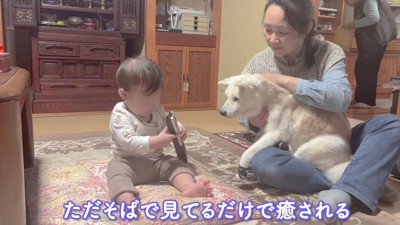 微笑ましい光景