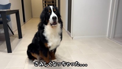 寂しそうなお顔!