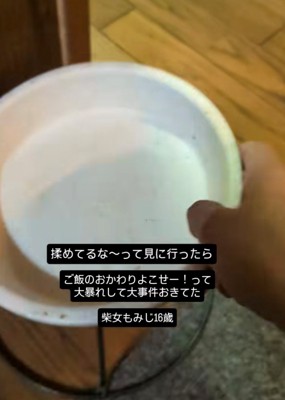 もみじちゃんの頭にハマっていた台とご飯のお皿