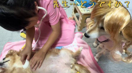 診断結果はインフルエンザ