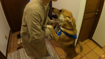 家族が出かける日のワンジローくん⑩