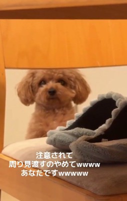 「え…なんのこと？」