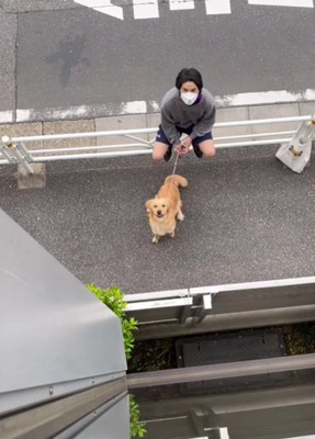 病室の窓を見下ろしてみると…