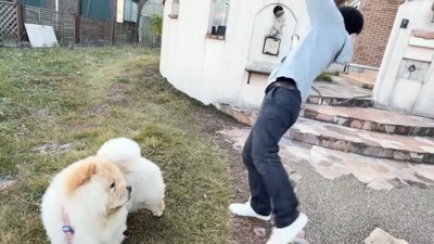 うっかり滑って転倒！！