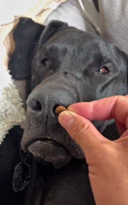 目を覚ましたみたい