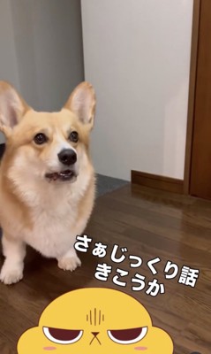 「逃がさないから！」