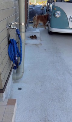 お手伝いするホット君4