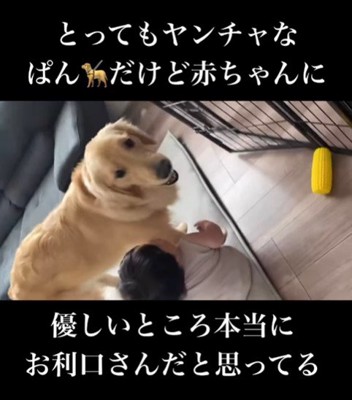 赤ちゃんに優しいぱん君9