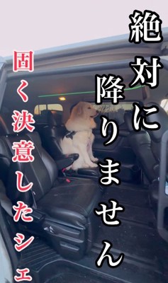 まさかの拒否！