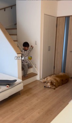 きなこちゃんと二度寝する男の子