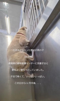 不安と恐怖でいっぱい…