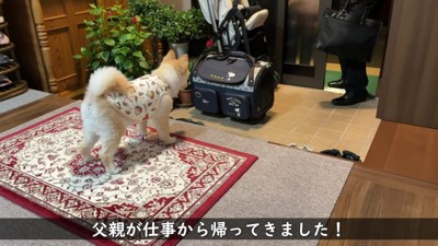 じいじを大喜びでお出迎え