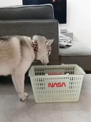 カゴの前でイメトレ