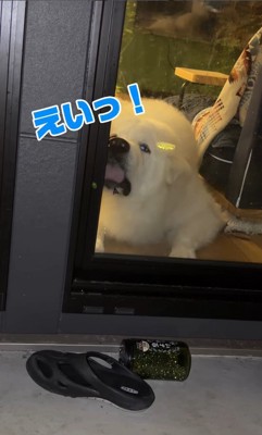 もちろん仕留められません…