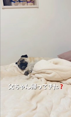 魔法の言葉で飛び起きるももこちゃん7