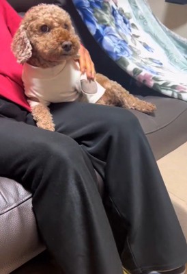 おばあちゃんから離れたくない茶々丸くん2