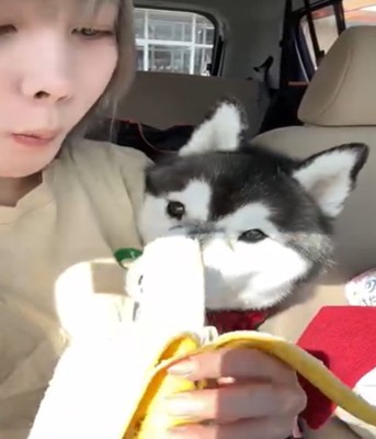 バナナを見る女性1