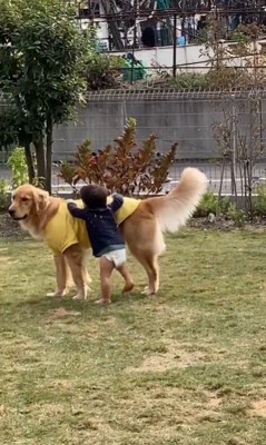 お庭で遊ぶ太郎くんと男の子8