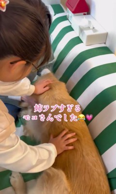 モコちゃんとお姉さんの再会⑩