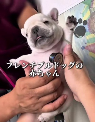 バンザイの体勢で…