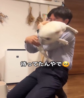 抱っこされる犬