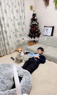 ココちゃんの尊い行動4