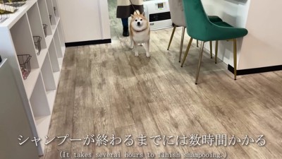 切ない表情にキュン♡