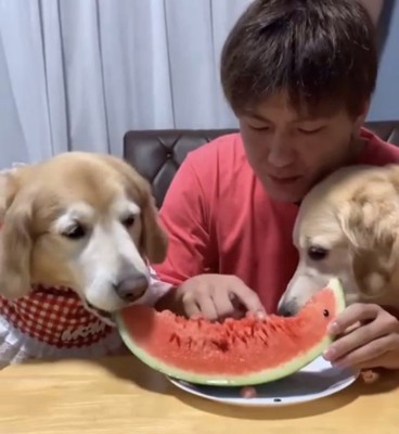 種を取る人