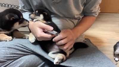 励まされながら、頑張りました♪