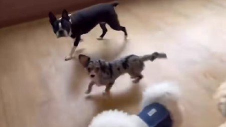 室内遊びを満喫中♪