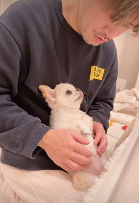 上目遣いで催促