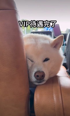 「楽しかったなあ…」