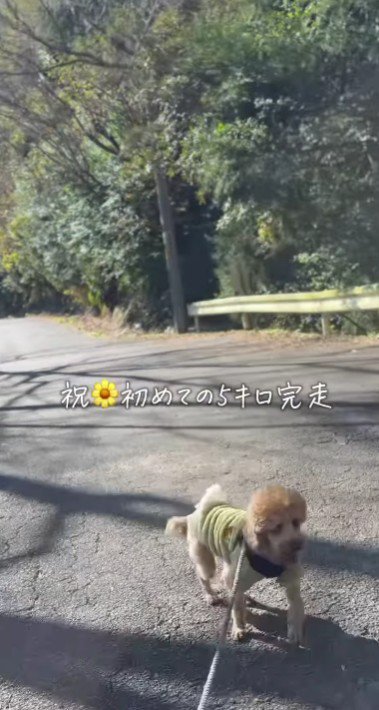 5キロも歩けたよ!!