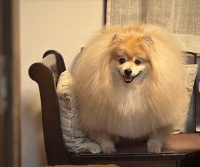 人類は思い出した