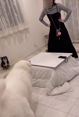 「かかってこい!」