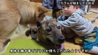 雷を怖がるりゅうさん＆励ます家族8