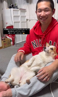 撫でられたいたるとちゃんVSパパさん4