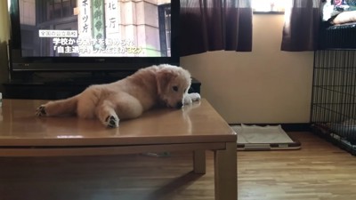 「もう終わりか…」