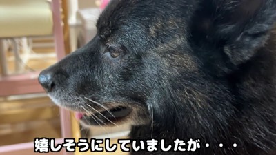 ほっと一安心!?