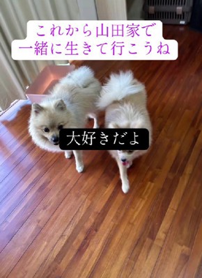 今はのびのびと暮らしています