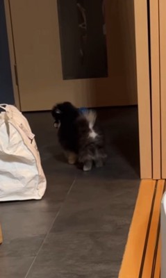 知多くんの様子が一変