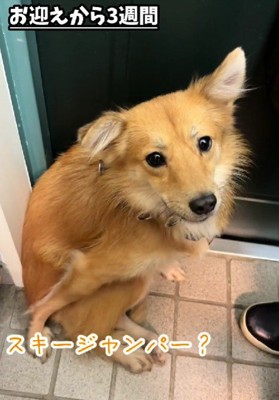 体勢も安定しない…