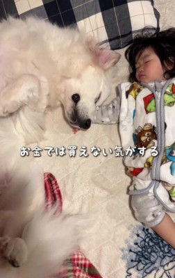 寝返りを打っても…