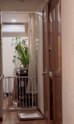 ドアを開けるシンプソンちゃん5