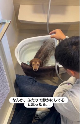 家の中が妙に静か