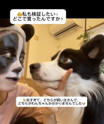 「真似したくなった」コメントが殺到