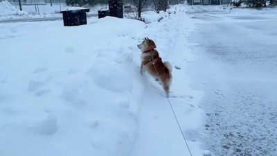 「お母さん…」