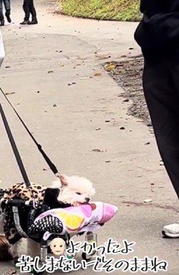 苦しまなかったことが救い